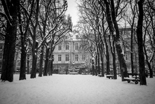 Academic Winter Yann Gourvennec