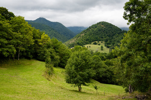 Valley of Gentle Giants in the Ariège by Yann Gourvennec, Photography for Sale on Singulart