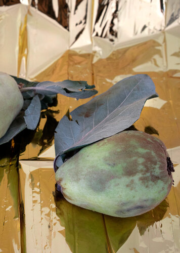 Quitten quittiert von Catherina Ziessler, Fotografie kaufen auf Singulart