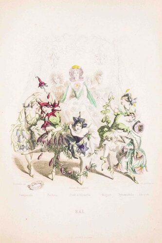 Bal - Les Fleurs Animées Vol.II by Jean-Ignace-Isidore Gérard, 版画 for Sale on Singulart