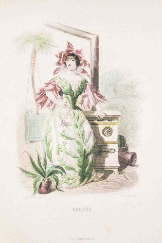 Cactus - Les Fleurs Animées Vol.II by Jean-Ignace-Isidore Gérard, Print for Sale on Singulart