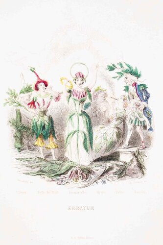 Erratum - Les Fleurs Animées Vol.II by Jean-Ignace-Isidore Gérard, Print for Sale on Singulart