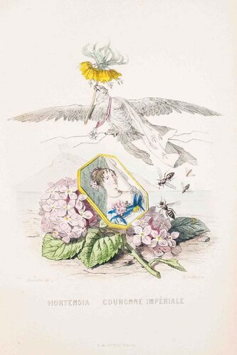 Hortensia Couronne Impériale - Les Fleurs Animées Vol.II by Jean-Ignace-Isidore Gérard, Print for Sale on Singulart