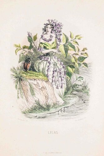 Lilas - Les Fleurs Animées Vol.II by Jean-Ignace-Isidore Gérard, Print for Sale on Singulart