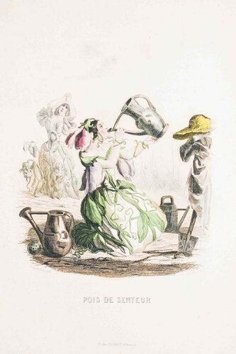 Pois de Senteur - Les Fleurs Animées Vol.II by Jean-Ignace-Isidore Gérard, Print for Sale on Singulart
