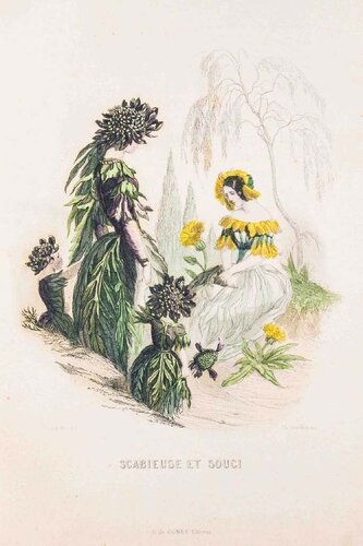 Scabieuse et Souci - Les Fleurs Animées Vol.II di Jean-Ignace-Isidore Gérard, Stampa in vendita su Singulart