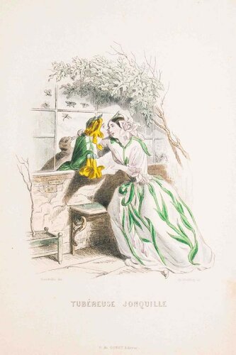 Tubéreuse Jonquille - Les Fleurs Animées Vol.II by Jean-Ignace-Isidore Gérard, Print for Sale on Singulart