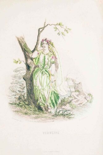 Verveine - Les Fleurs Animées Vol.II di Jean-Ignace-Isidore Gérard, Stampa in vendita su Singulart