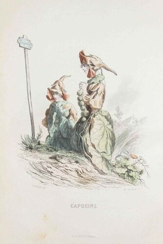 Capucine - Les Fleurs Animées Vol.I by Jean-Ignace-Isidore Gérard, Print for Sale on Singulart