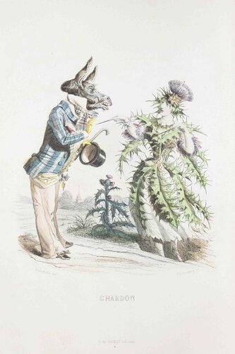 Chardon - Les Fleurs Animées Vol.I by Jean-Ignace-Isidore Gérard, Print for Sale on Singulart