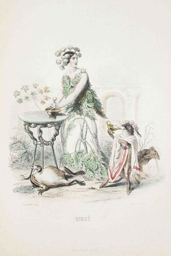 Ciguë - Les Fleurs Animées Vol.I di Jean-Ignace-Isidore Gérard, Stampa in vendita su Singulart