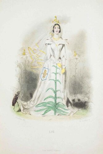 Lis - Les Fleurs Animées Vol. I by Jean-Ignace-Isidore Gérard, Print for Sale on Singulart