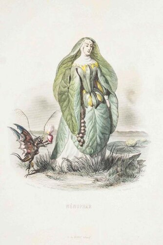 Nénuphar - Les Fleurs Animées Vol. I by Jean-Ignace-Isidore Gérard, Print for Sale on Singulart