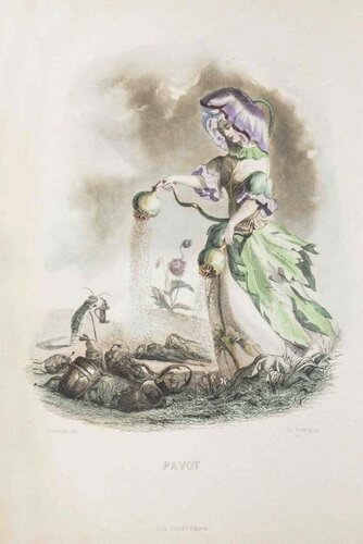 Pavot - Les Fleurs Animées Vol.I di Jean-Ignace-Isidore Gérard, Stampa in vendita su Singulart