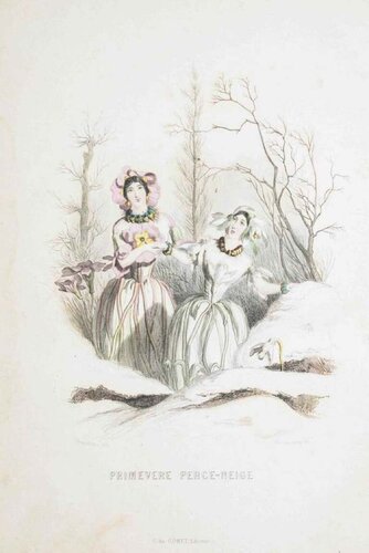 Primevère Perce-Neige - Les Fleurs Animées Vol.I de Jean-Ignace-Isidore Gérard, Impresión a la venta en Singulart