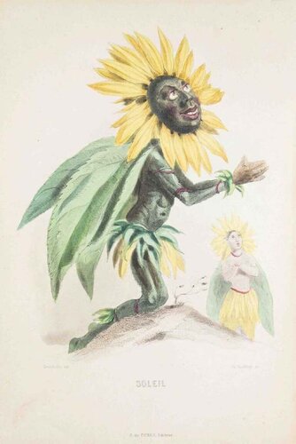 Soleil - Les Fleurs Animées Vol.I by Jean-Ignace-Isidore Gérard, Print for Sale on Singulart