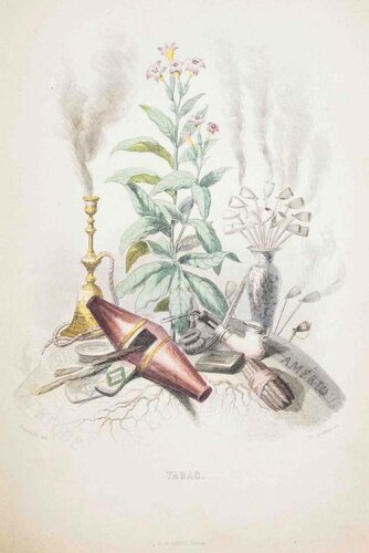 Tabac - Les Fleurs Animées Vol.I by Jean-Ignace-Isidore Gérard, Print for Sale on Singulart