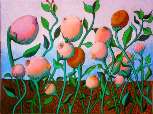 " nipple garden " von michael cox, Zeichnungen kaufen auf Singulart