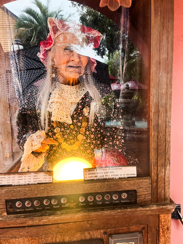 Fortune Teller de Jackie Myers, Fotografía a la venta en Singulart