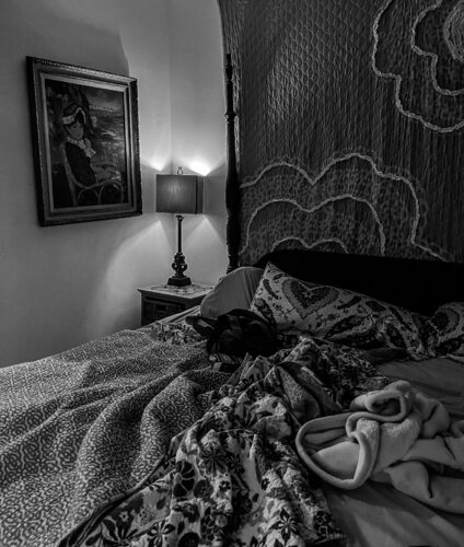 Black Room de Jackie Myers, Fotografía a la venta en Singulart