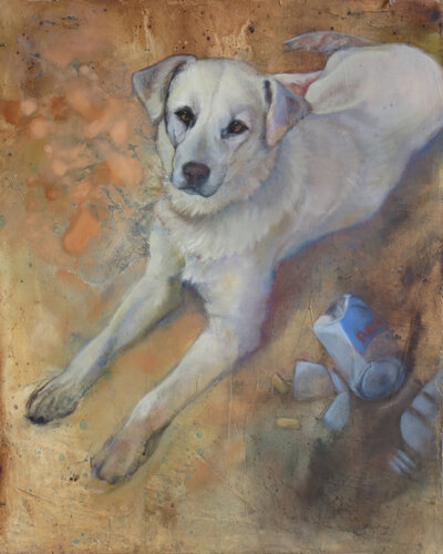 Redbull von Diana Howard, Malerei kaufen auf Singulart