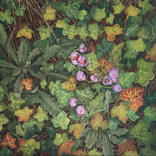 Hope van Diana Howard, Schilderij te koop op Singulart