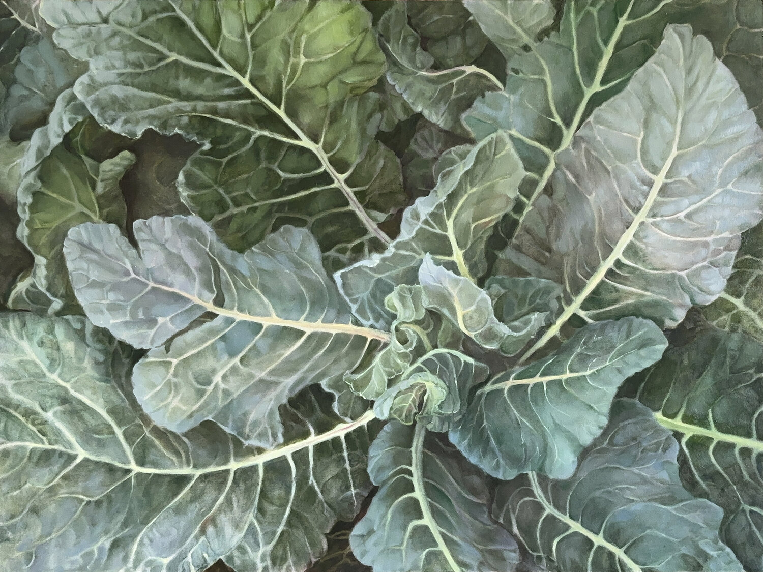 Romanesco leaves Diana Howard