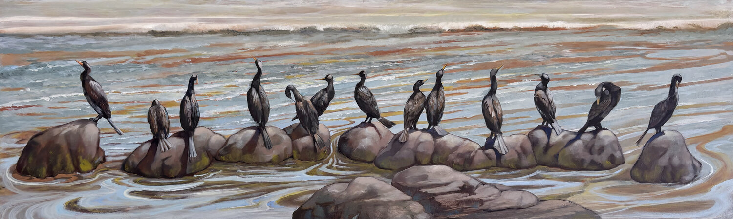 Cormorants on the Rio de la Plata Diana Howard Origineel schilderij te koop