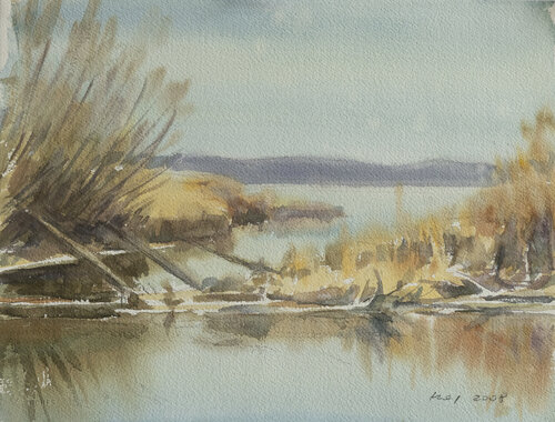 Ufer des Ammersees, Bayern 2008 von Volker Koy, Malerei kaufen auf Singulart