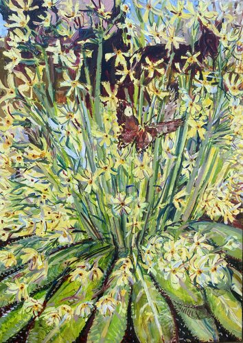 Lemon Primula with black lurcher van Phoebe Cope, Schilderij te koop op Singulart