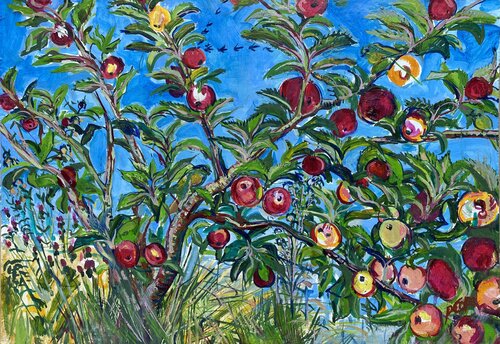 Discovery Apples & Skene of Geese by Phoebe Cope, Painting for Sale on Singulart