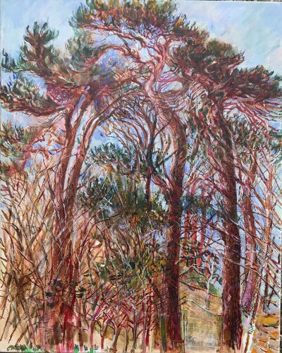 Scotspine on linen by Phoebe Cope, Painting for Sale on Singulart