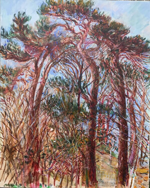 Scotspine on linen Phoebe Cope