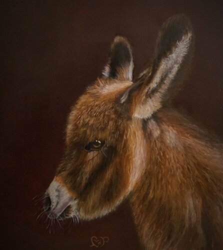 Ezeltje uit Kaapverdië, Donkey from Cape Verde van Lianne van der Plaat, Schilderij te koop op Singulart