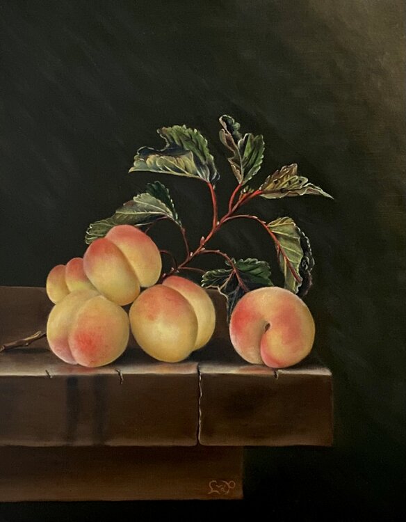 Vijf abrikozen, Five Apricots Lianne van der Plaat