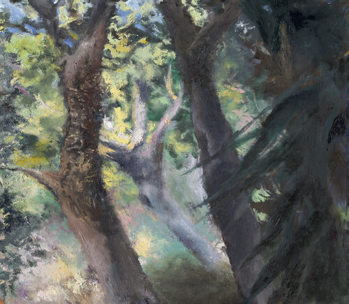 Trees and light di Ayelet Polak, Pittura in vendita su Singulart