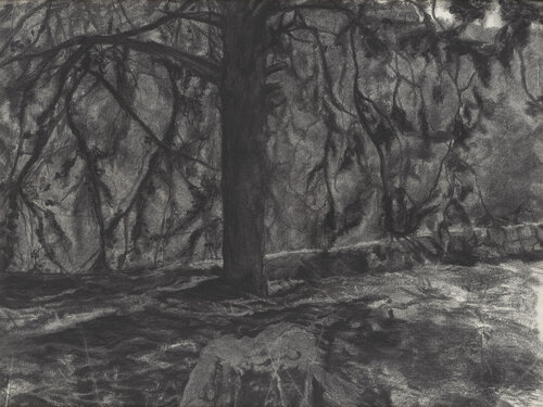 A tree in Ein Kerem de Ayelet Polak, Pintura a la venta en Singulart