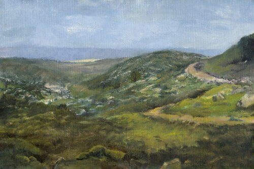 Spring in Mount Hebron by Ayelet Polak, Painting for Sale on Singulart