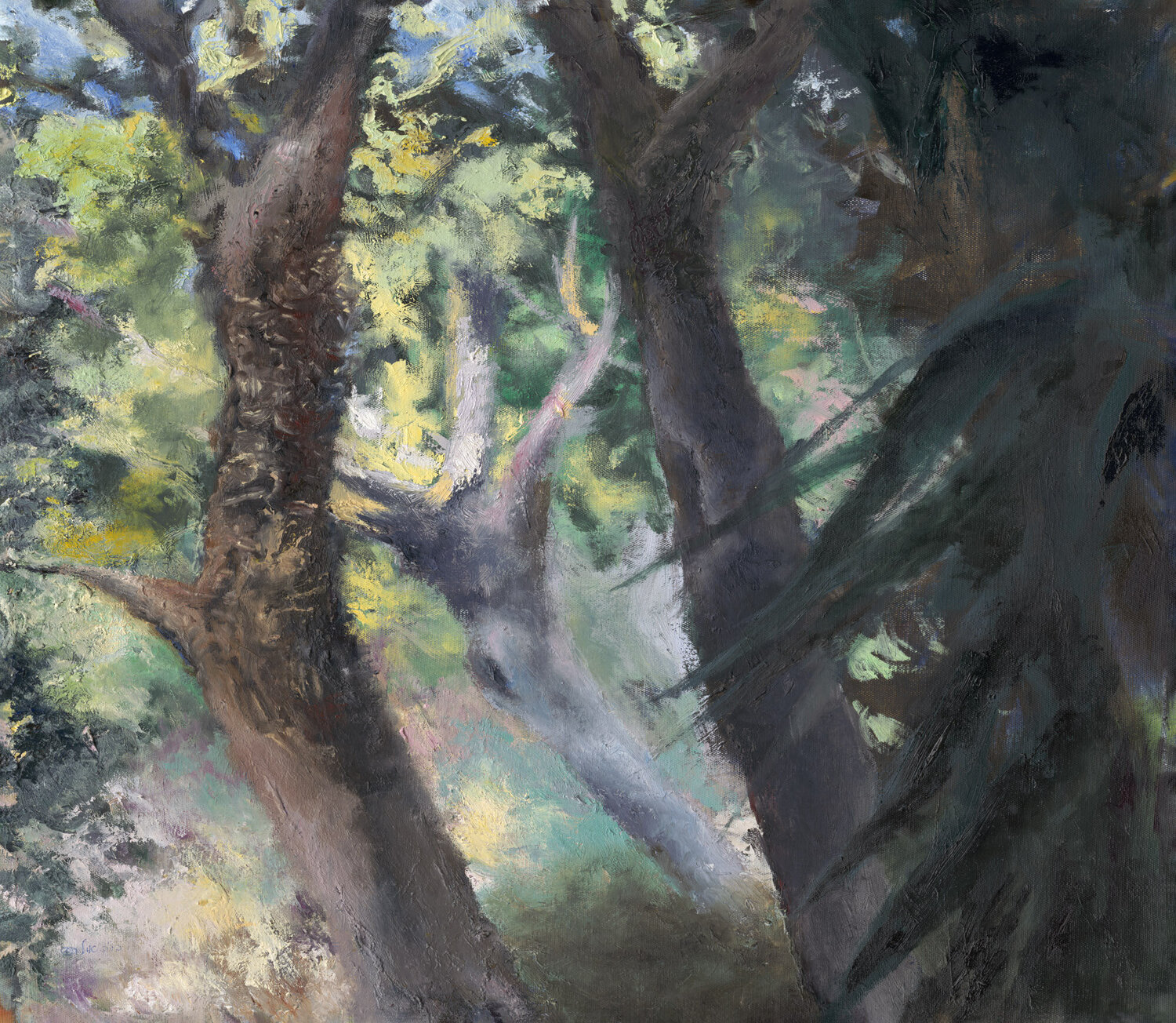 Trees and light Ayelet Polak