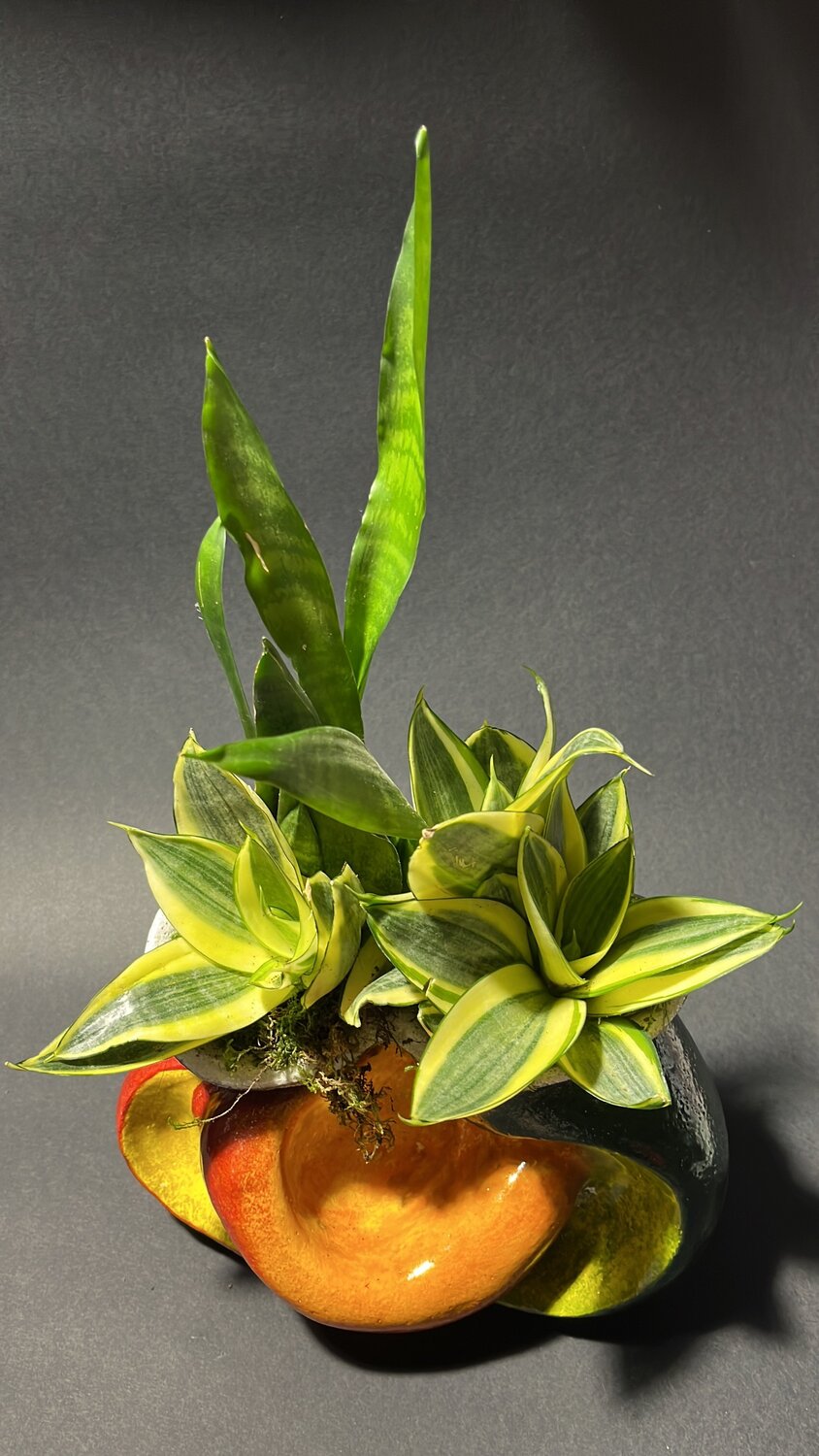 vaso studio ingobbi Ludovico Graziano