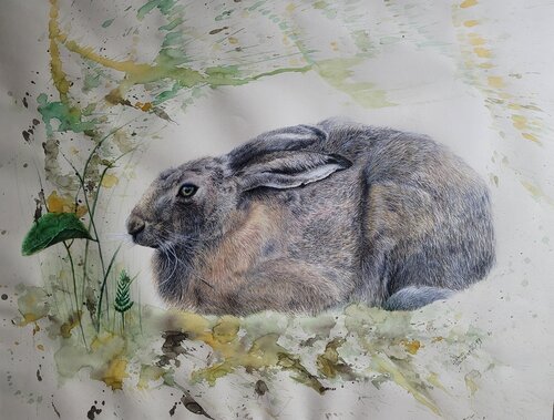 Studie eines Wesens- Hommage an den Feldhase von Gudrun Dapont, Werk auf Papier kaufen auf Singulart