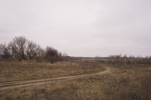 country road Bogdan Lambert