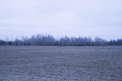 winter field di Bogdan Lambert, Fotografia in vendita su Singulart