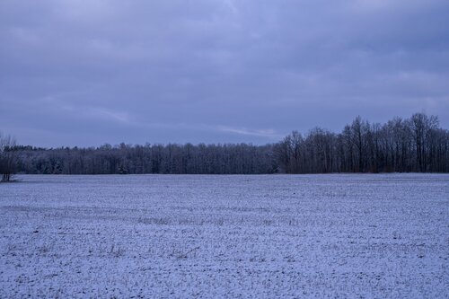 snowy field di Bogdan Lambert, Fotografia in vendita su Singulart
