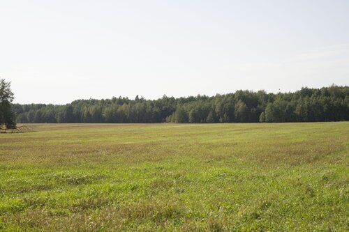 pasture di Bogdan Lambert, Fotografia in vendita su Singulart