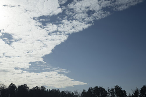 cloud above trees by Bogdan Lambert, Photography for Sale on Singulart