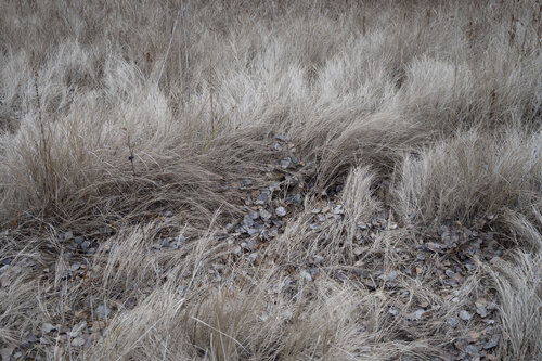 november van Bogdan Lambert, Fotografie te koop op Singulart