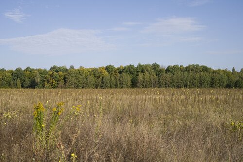summer van Bogdan Lambert, Fotografie te koop op Singulart