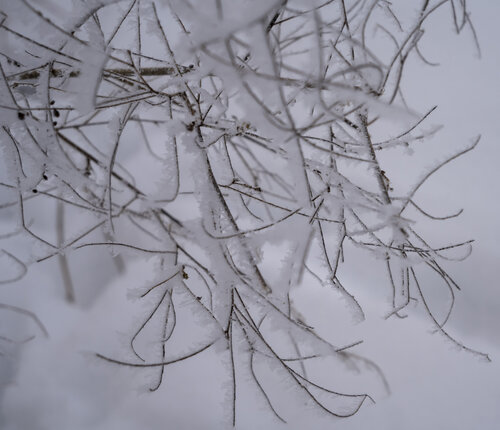 le dessin de la neige 2 von Bogdan Lambert, Fotografie kaufen auf Singulart