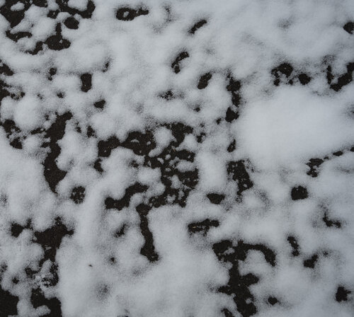 snow 2 van Bogdan Lambert, Fotografie te koop op Singulart